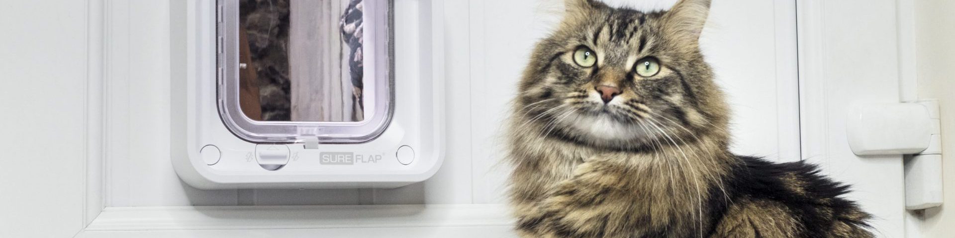 Sure Petcare - Sureflap