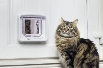 Sure Petcare - Sureflap